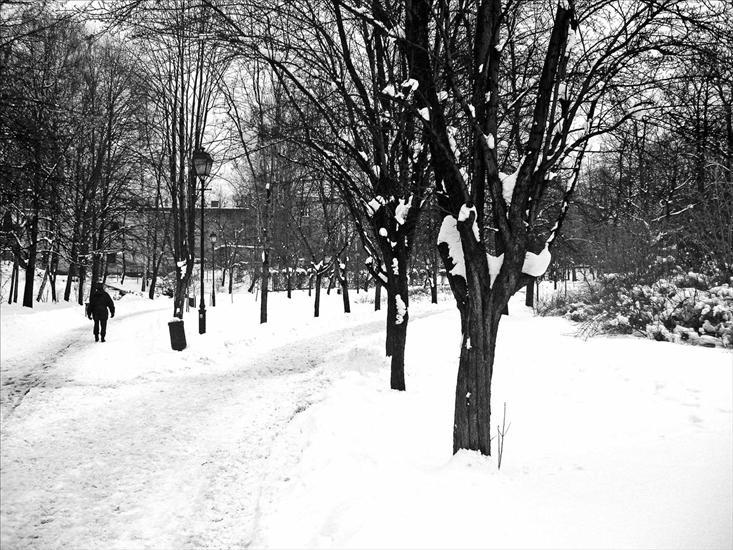 Zimowe obrazki - zimowe impresje10.jpg