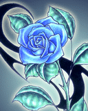 pitenwis21 - Niebieska róża.gif