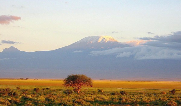 Zbieranina zdjec - Kilimazdżaro.jpg