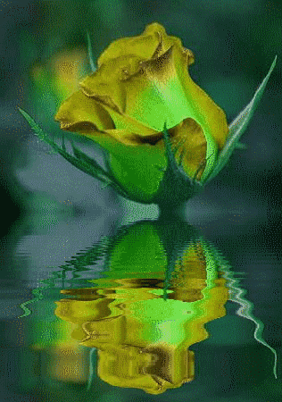 Kwiaty - Obraz11a.gif