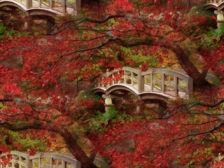mosty i mostki cd - autumn-bridge-red-flowers.jpg