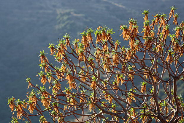 FOTO KRETA - ga00710d.jpg