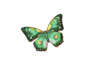 kolekcja93 - kt_green-butterfly.png