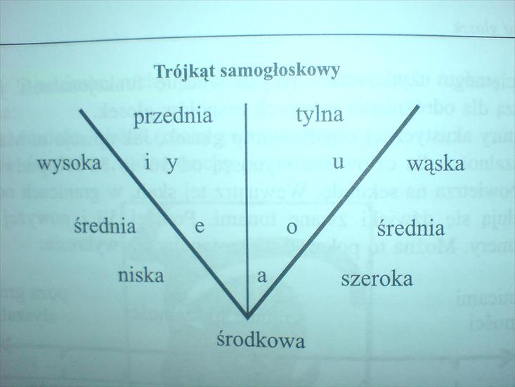 Gramatyka opisowa języka polskiego - trójkąt samogłoskowy.JPG