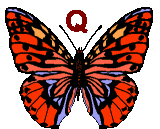 Motyle - butterfly-q-letter.gif