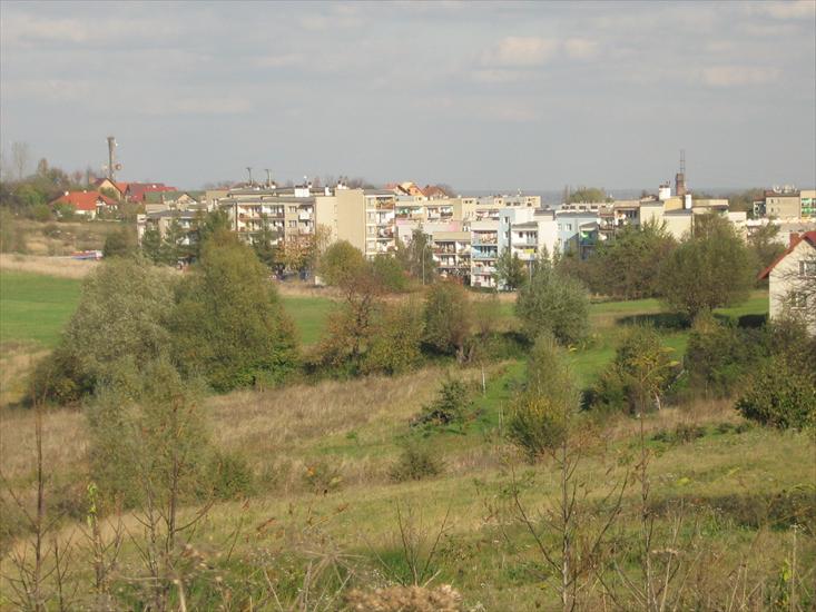Bochnia - Panorama Bochni.jpg