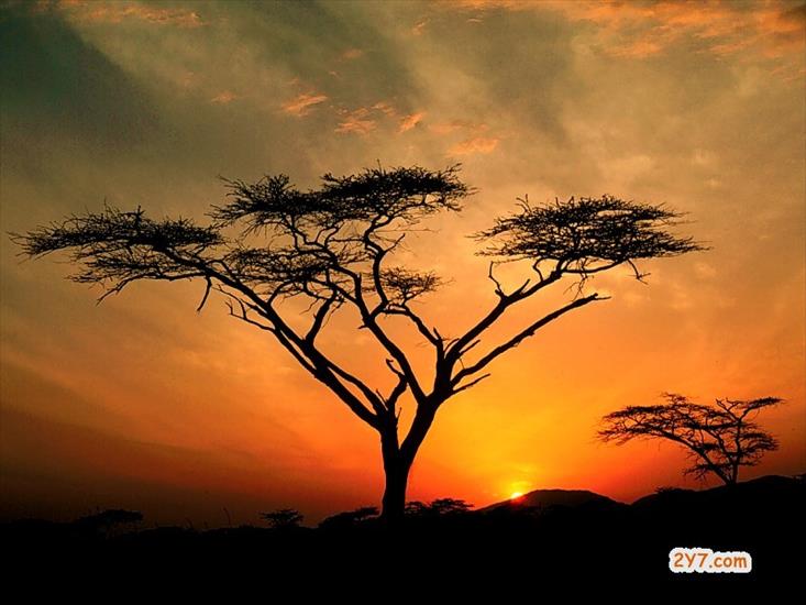 Dokumenty - Samburu Hills Sunrise, Samburu Game Reservation,.jpg