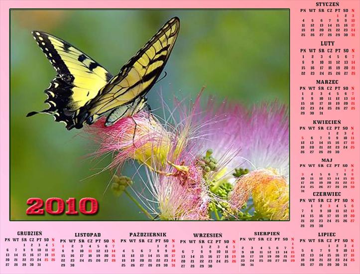 Kalendarze z motylkami - Bez nazwy 56.jpg