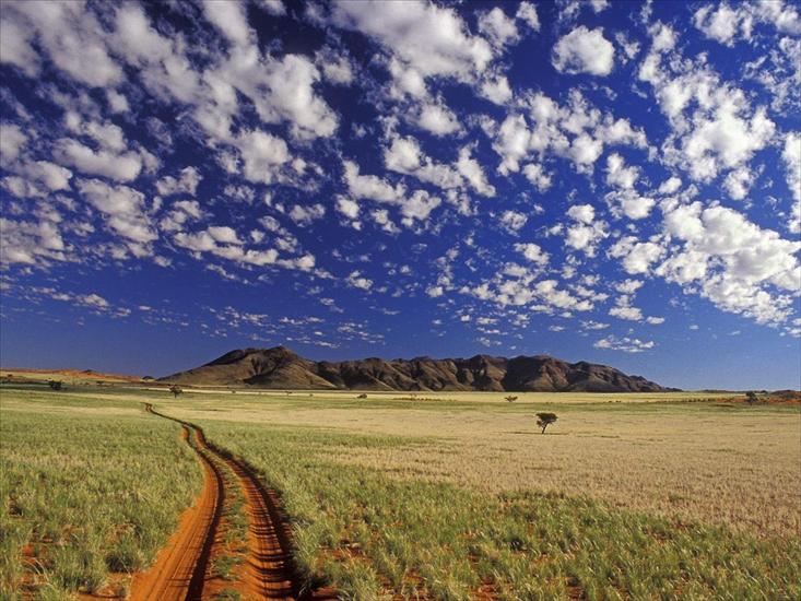 TAPETY ŁADNE - Tok_Tokkie,_NamibRand_Reserve,_Namib_Desert,_Namibia.jpg