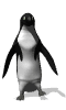 PINGWINY - Gifanimacja Kroczący pingwin.gif