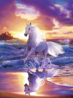 konie1 - White_Horse.jpg