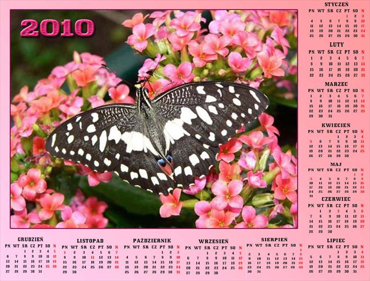 Kalendarze z motylkami - Bez nazwy 58.jpg