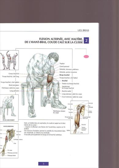 Guide.des.mouvements.de.musculation - MUSCU0001.JPG