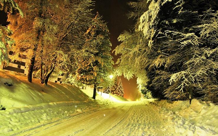 Tapety - winter night.jpg