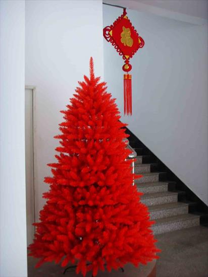 Chiny - Chinese-Red-Common-Christmas-Tree.jpg