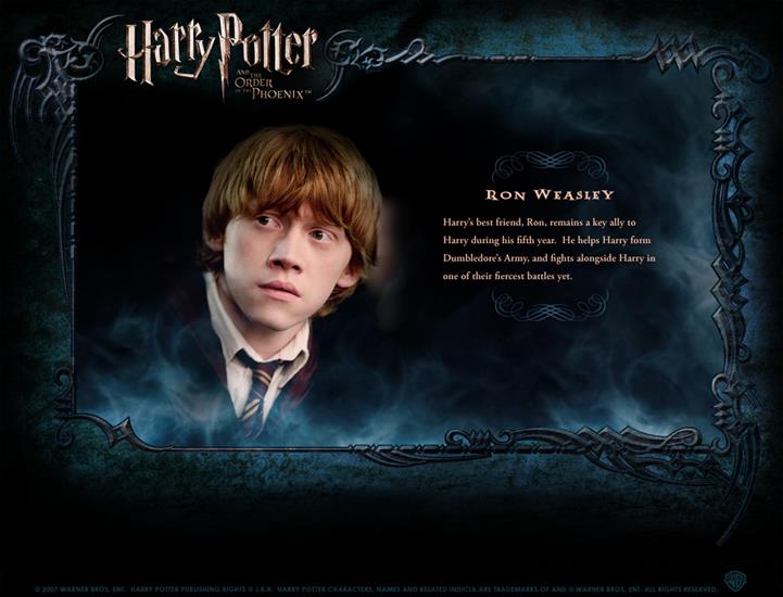 Character Profile - Character-Profile-harry-potter-130056_1050_800.jpg