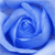 Galeria - rose_series_azure_by_iconography.gif
