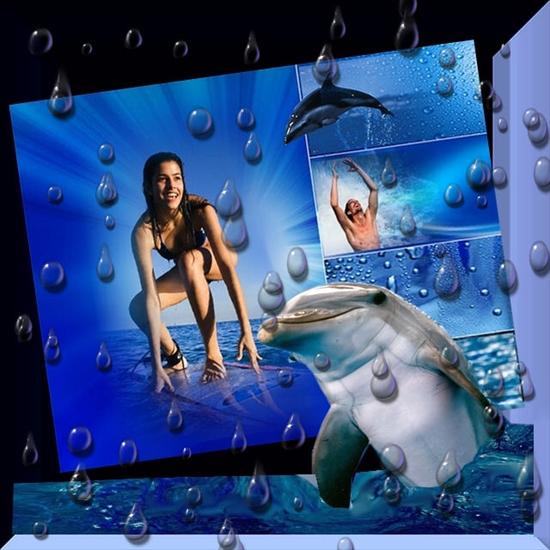 Delfiny i Orki - surf.jpg