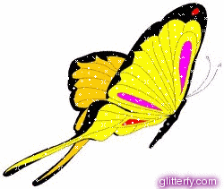 Motyle1 - yellow_butterfly.gif