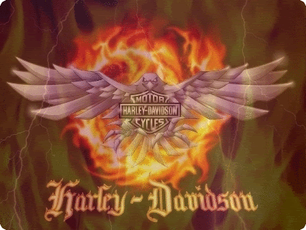 Harley Davidson - harley4.gif