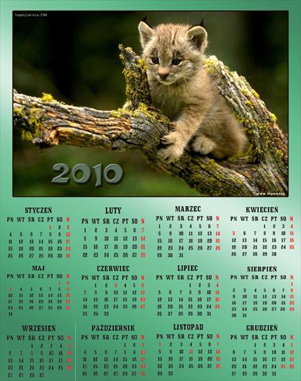 Kalendarze z różnymi zwierzętami - Bez nazwy 68.jpg