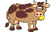 Krowy - 9.gif