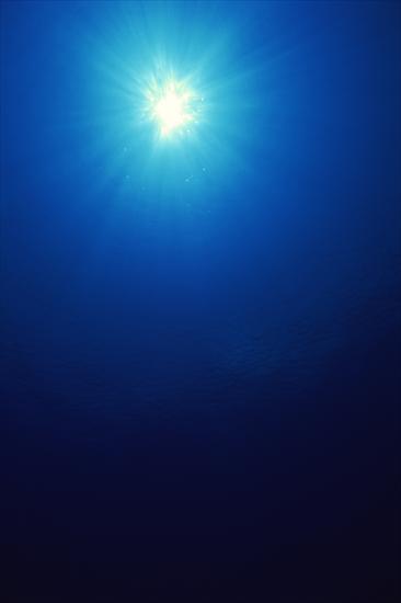 Underwater - 02 - 64.jpg