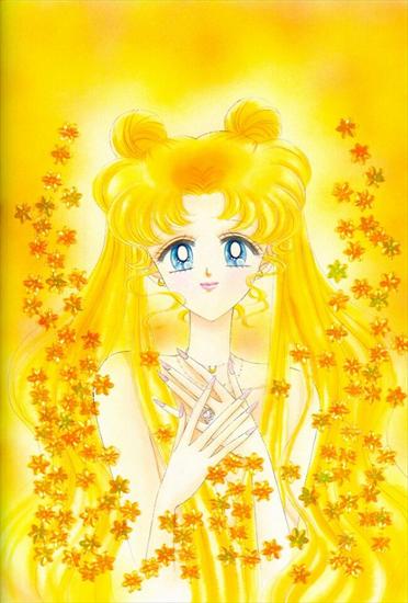 Manga Sailor Moon - 13796.jpg